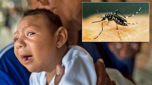 Bebe- virus-zika