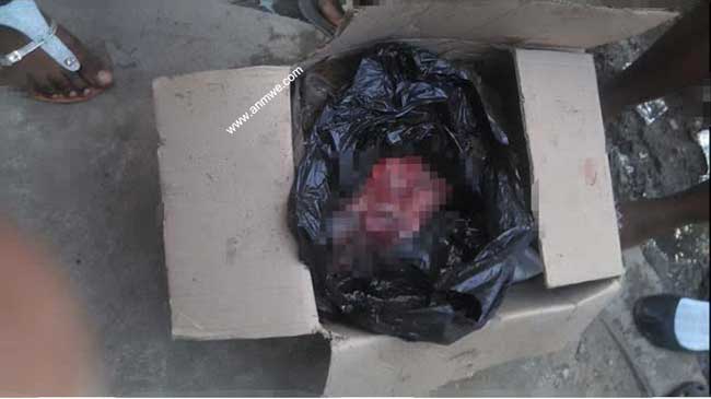 HAITI: « Découverte »  du corps d’un bébé de 4 mois dans un sachet au Cap-Haitien ( Photo choquante )