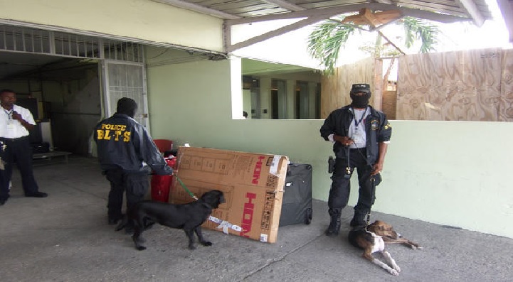 Haïti: Importante saisie de marijuana dans le Sud par la Garde-Côte et la BLTS
