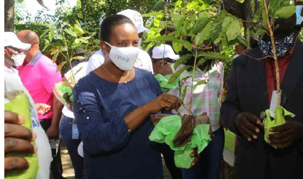 Haïti: La première dame Martine Moïse lance «Plante Avni» un programme de  reboisement