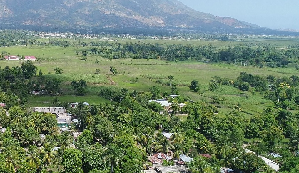 Haïti: Deux millions d’arbres avec le financement de l’USAID plantés dans le nord