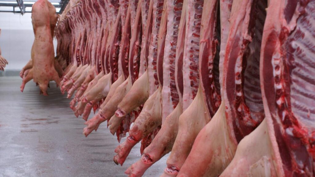 Haïti: Le gouvenement interdit  l’importation de la viande de porc de la République dominicaine